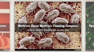 Mattress Kleen Mattress Cleaning in AU