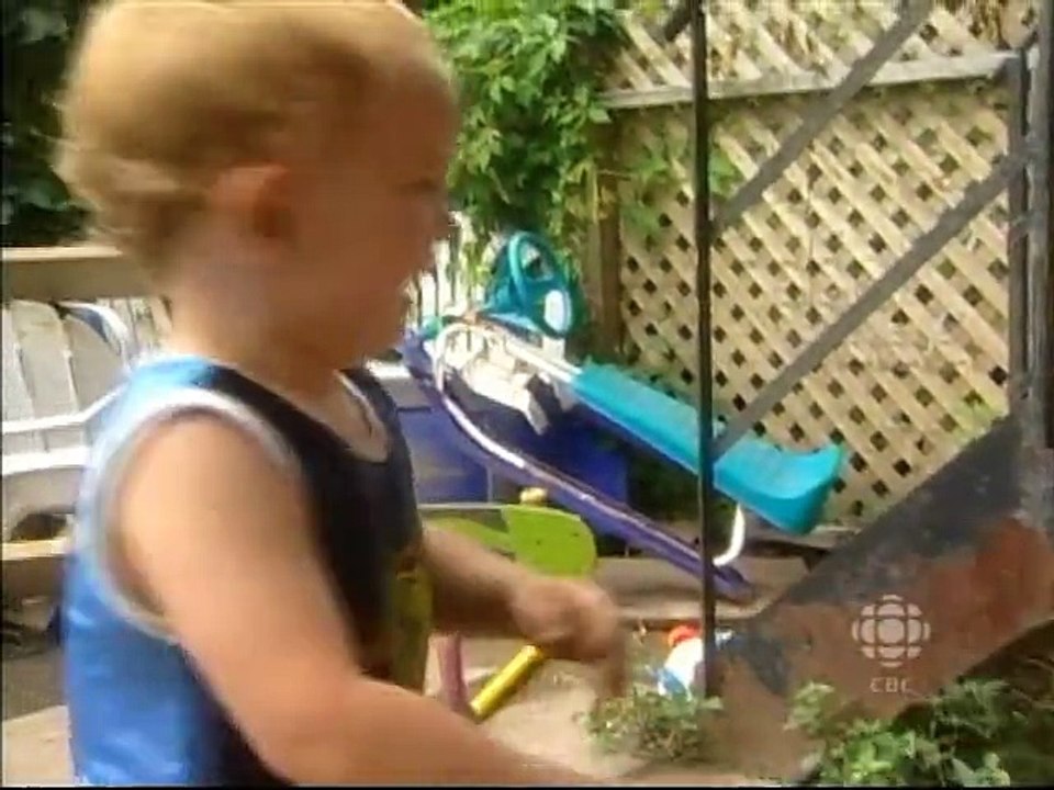 Origins Of Human Aggression (The Nature Of Things)