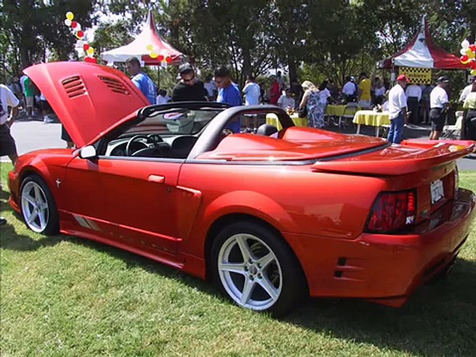 mustangs