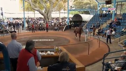 Horse Racing Time: Longines Queen Elisabeth Stakes