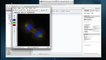 Using ImageJ with OMERO 5.1 -- regions, overlays, and more