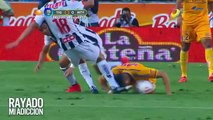 Tigres 3-0 Monterrey, Liga MX; Mexico, All Goals, Full highlights, 18/04/2015