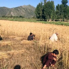 Mobile Capture ۲۳ می ۲۰۱۴