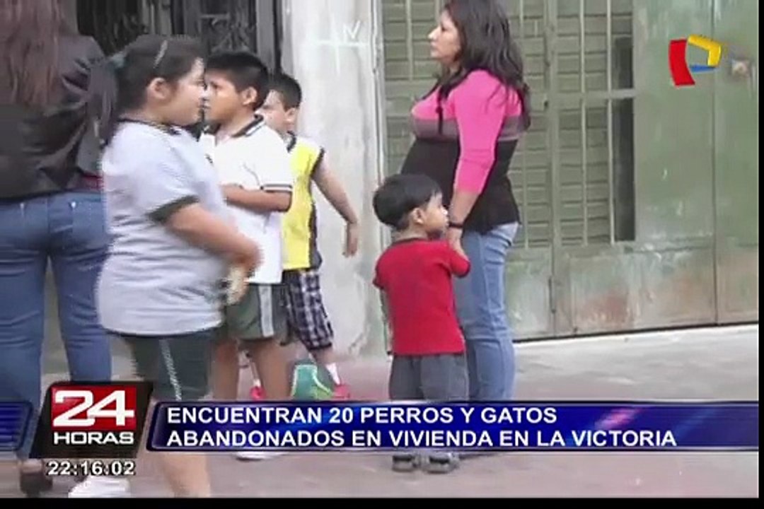 Encuentran 20 perros y gatos abandonados en otra vivienda de La Victoria
