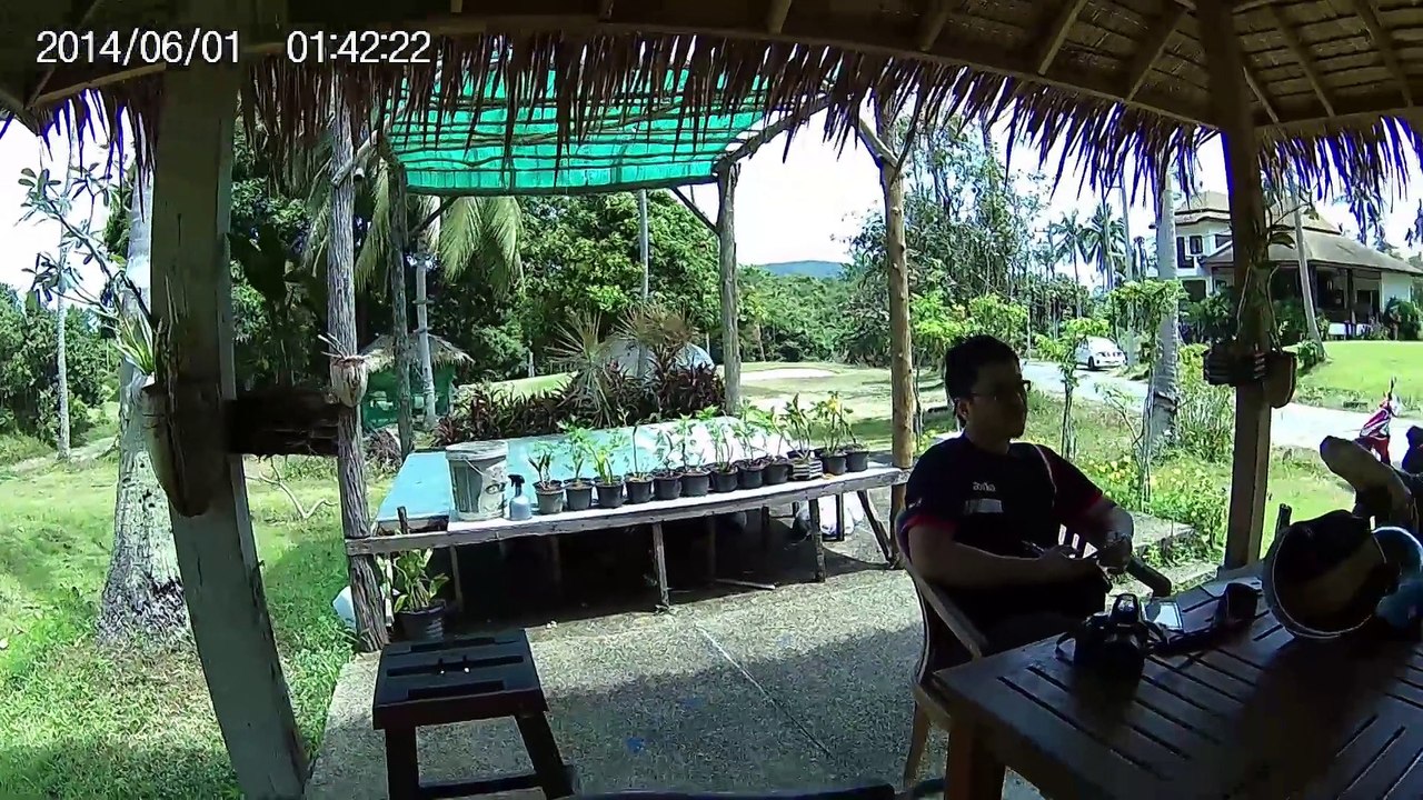 Balau Samui Boom boom 2015