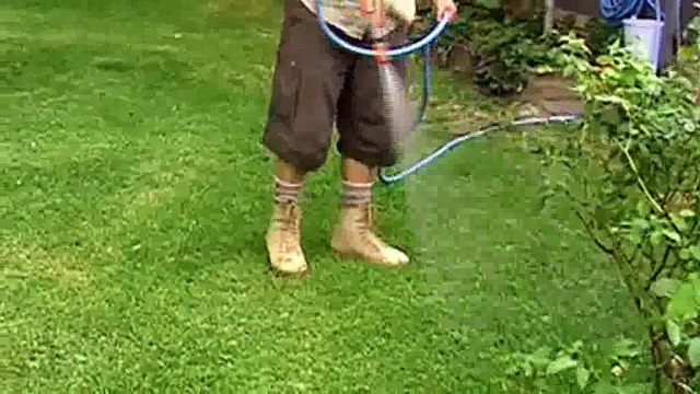 Lawns and extreme heat | Heat tolerant grasses