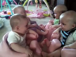 Babies laughing At each other