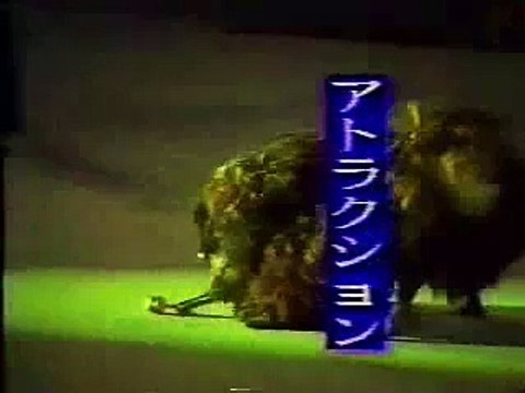 1990 Okinawan Karate ~ Kobudo Festival # 3