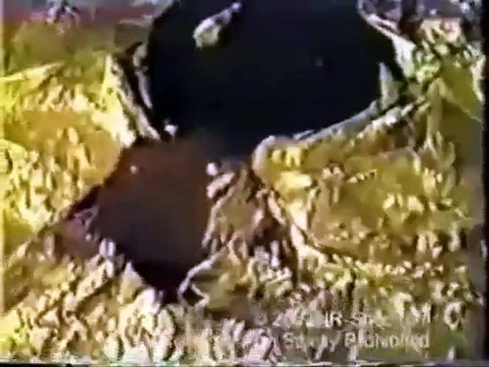 Alien Captured And Video Taped Real Footage Ufo Sightings 2014