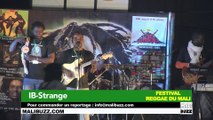 IB-Strange- LIVE - Festival Reggae du Mali 2015