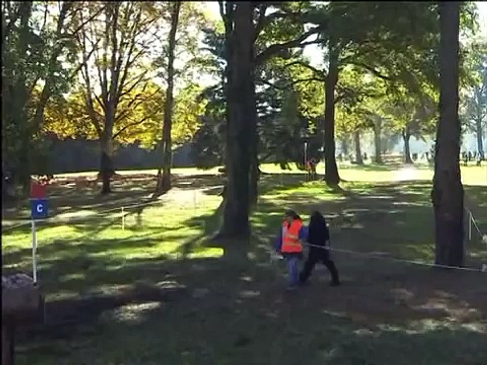 EQUITATION cheval  cross**