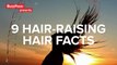 9 Hair-Raising Facts About Hair