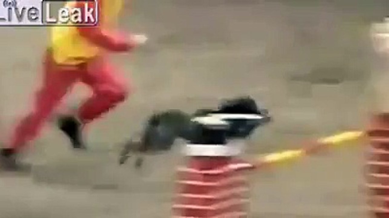 The fastest dog in the Universe