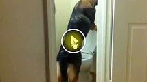 Ce chien a bien appris comment utiliser les toilettes.