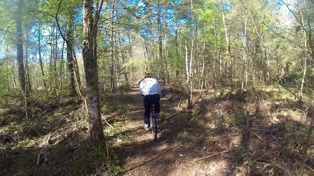 Balade avec Nina, Chloé, Claudio et moi (DD) le dimanche  19 avril 2015