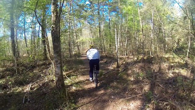 Balade avec Nina, Chloé, Claudio et moi (DD) le dimanche 19 avril 2015