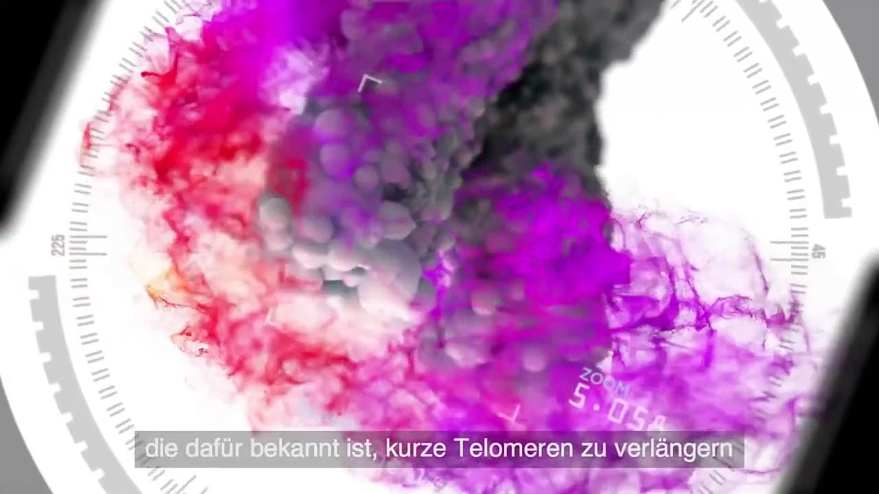 The secret of jeunesse