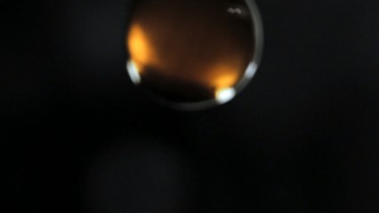 Max & Dior : Genesis, The art of fragrance creation