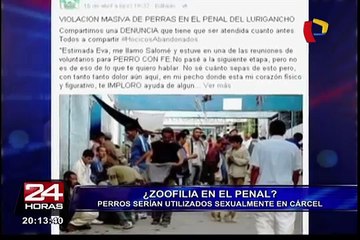 Denuncian que perros son utilizados sexualmente en penal de Lurigancho