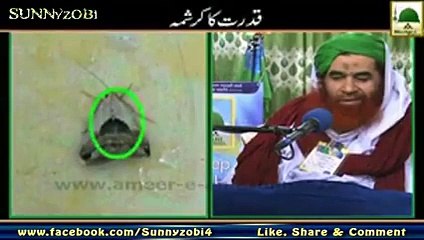 Miracle or Biggest Wrong Number in Pakistan