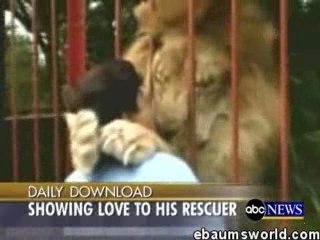 Lion-hug