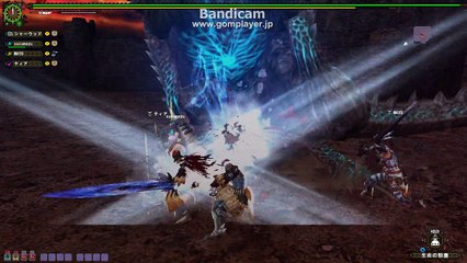 monster hunter frontier　極征黒ミラ