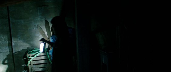 Ouija / Extrait 2 "L'Ombre" VF [Au cinéma le 29 Avril]