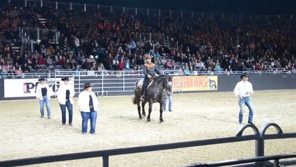 Un cheval danse la country