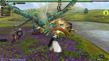 monster hunter frontier　剛種フォロ
