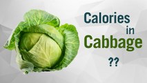Healthwise: How Many Calories in Cabbage? Diet Calories, Calories Intake and Healthy Weight Loss
