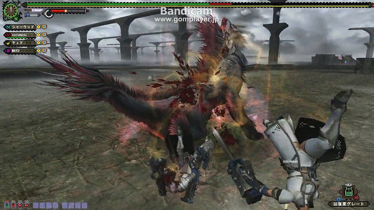 monster hunter frontier　剛種カム・ノノ