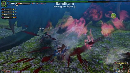monster hunter frontier　G級フォロ
