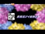 [PV]紫陽花アイ愛物語