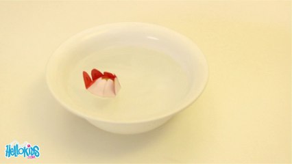Expérience : Fleur d'eau de papier