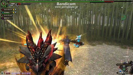 monster hunter frontier　剛種イナガミ