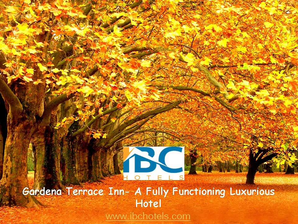 Gardena Terrace Inn- A Fully Functioning Luxurious Hotel