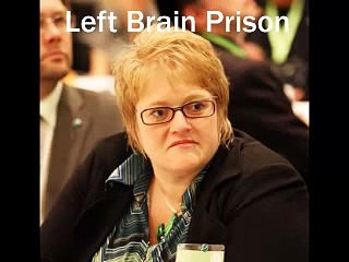 Left Brain Prison in Norway (David Icke)
