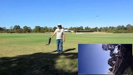 RCPowers F35v2 5th Flight with Turnigy NTM 2836 2700kv Prop-Drive!