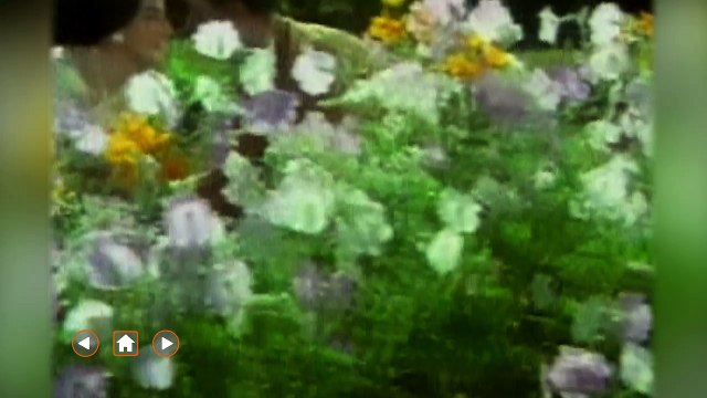 Avalulendru Oru Manam Tamil Movie Songs Jukebox - Gemini Ganesan - SPB Hits - Tamil Songs Collection