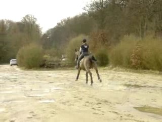 22.2.2007 => Clow-Nev stalles de départ