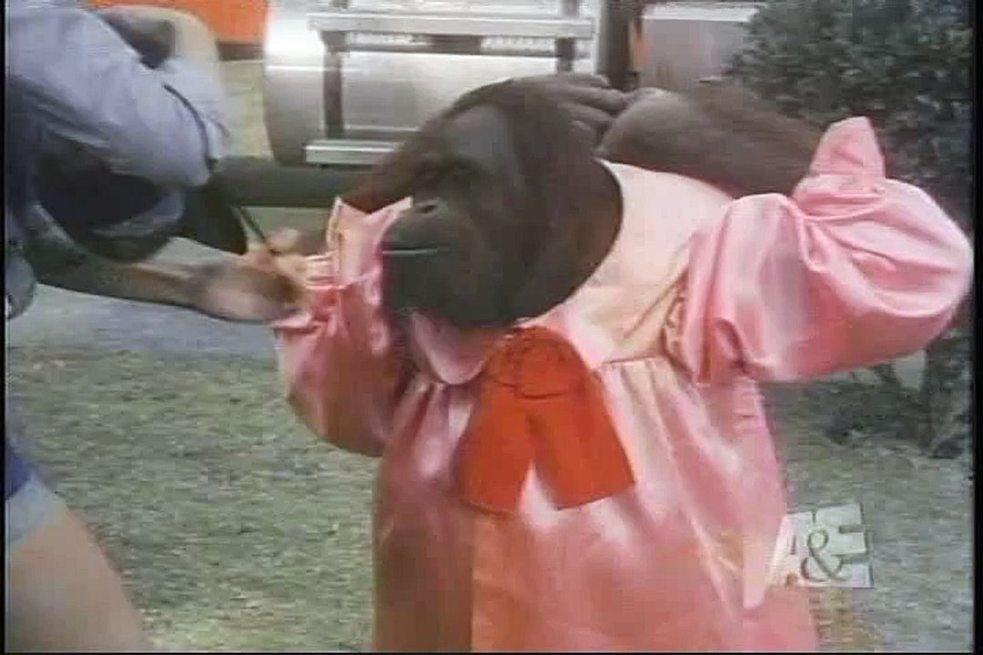 T.J Hooker - S2E10 - Thieves? Highway