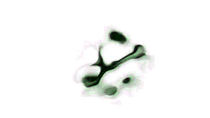 Vídeo mostra apreensão de armas pela polícia