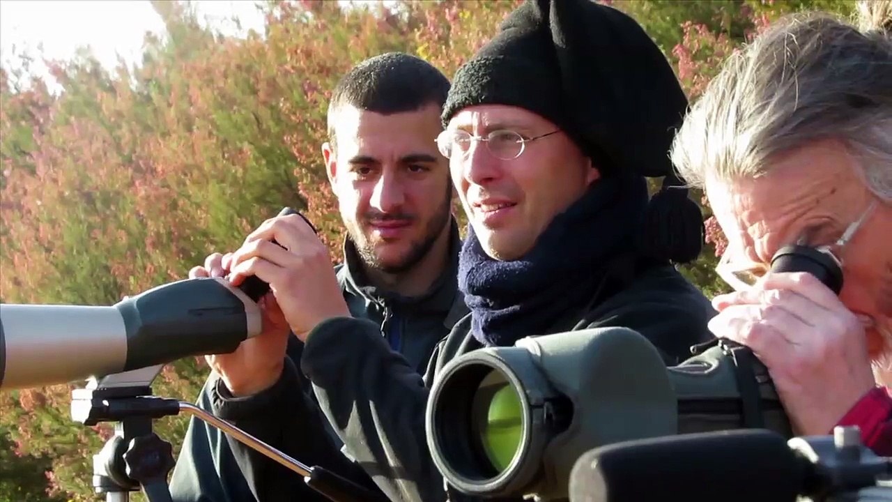 Fixations naturelles