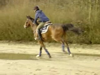 22.2.2007 => Neptune stalles de départ