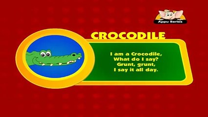 Animal Sounds in Hindi - Crocodile