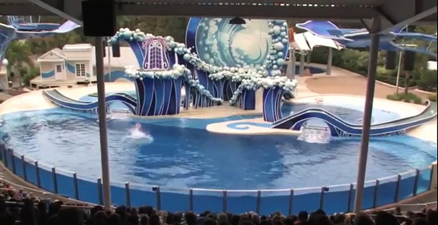 The Complete 2015 SeaWorld Blue Horizons Dolphin Show