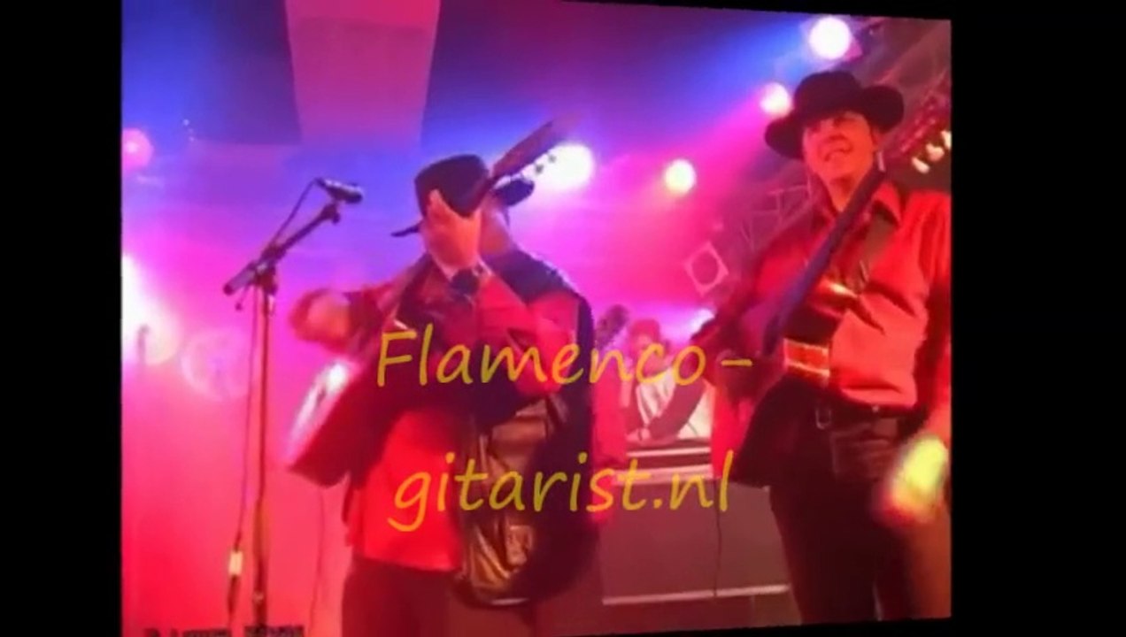 Flamenco-gitarist.nl