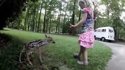 Un bébé faon fait un câlin à une petite fille