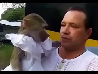 Funny Videos hahahaha - Funest video of the World