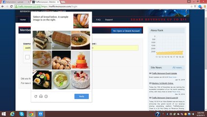 Trafficmonsoon Guidline 1